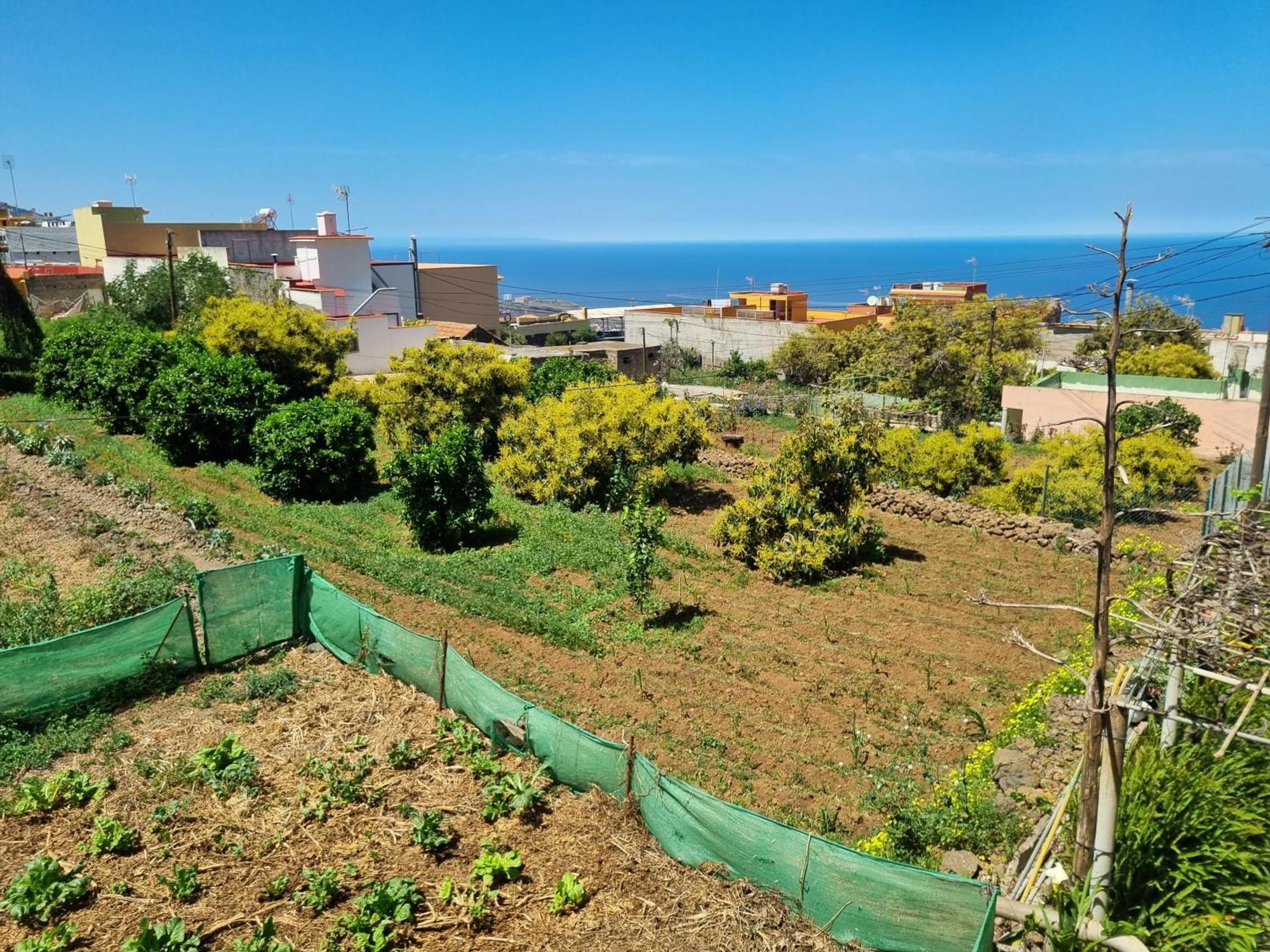 Vivienda Vacacional Ca Na Paula 拉奥罗塔瓦 外观 照片