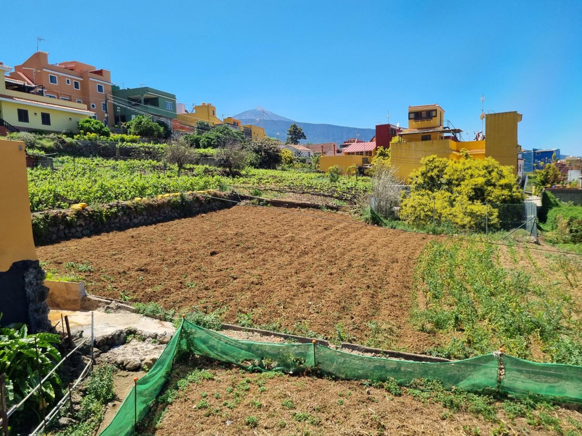 Vivienda Vacacional Ca Na Paula 拉奥罗塔瓦 外观 照片
