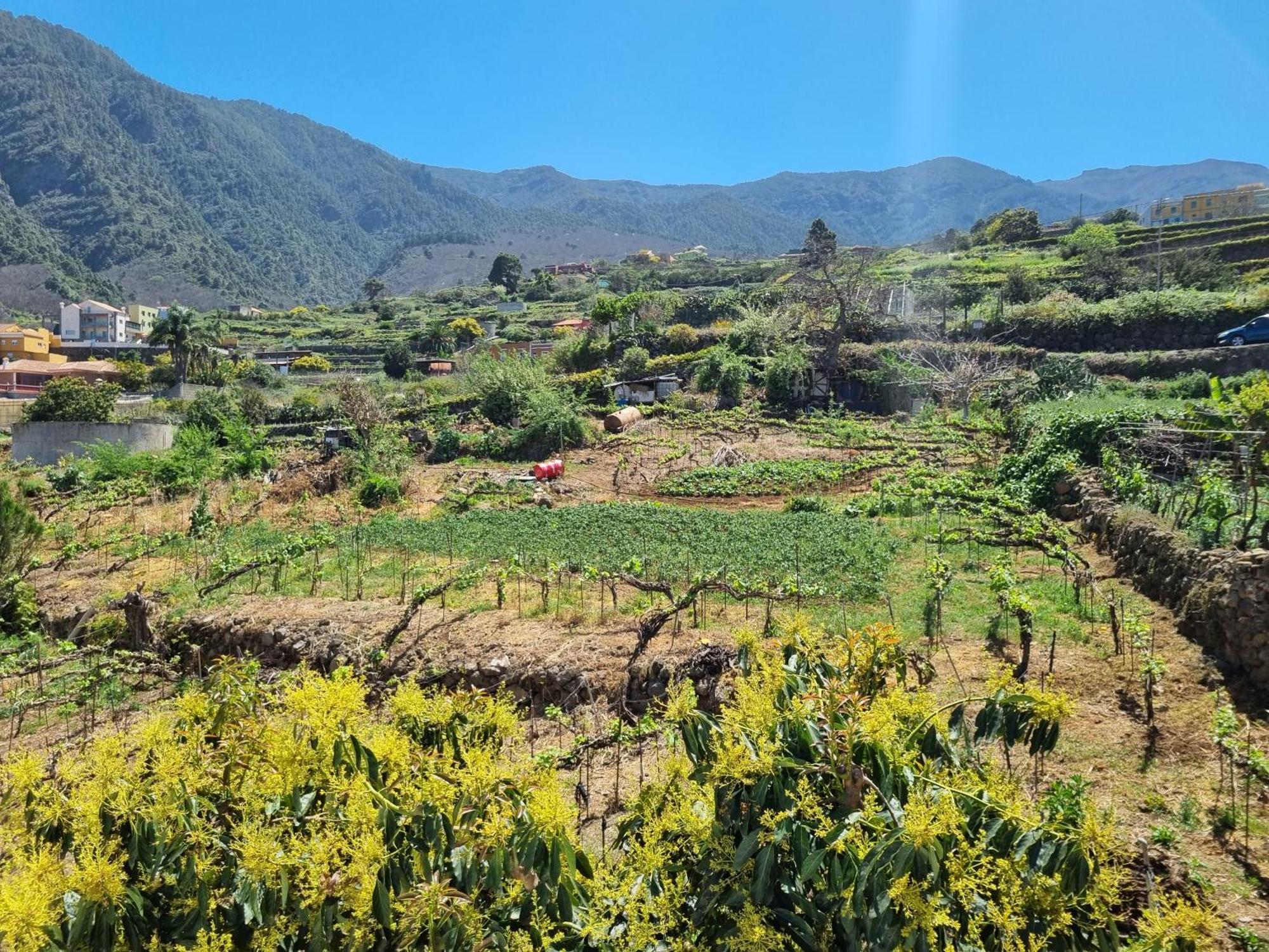 Vivienda Vacacional Ca Na Paula 拉奥罗塔瓦 外观 照片